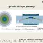 Рис.1. Профиль абляции роговицы (Эскина Э.Н. с соавт., 2012г.) www.organum-visus.com