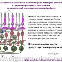 Ибатулин Р.А. Линза «Perifocal» новый способ очковой коррекции и контроля прогрессирования близорукости у детей путем воздействия на периферическую рефракцию. "Линзы с горизонтальной прогрессией «Perifocal» и «Anlauf»: современная стратегия оптической коррекции зрения" - первая конференция с международным участием, посвященная  новому направлению в современной оптометрии.  20 февраля 2014г., г. Москва, Россия. Информационный партнер www.organum-visus.com