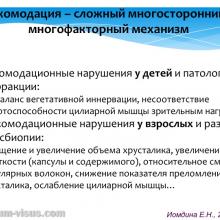 Иомдина Е.Н. Механизм аккомодации: существует ли аккомодация вдаль? лекция для офтальмологов, оптиков, оптометристов и специалистов, изучающих орган зрения в рамках образовательного проекта "Занимательная аккомодология" при поддержке компании Sentiss (2016). Информационный партнер портал Орган зрения organum-visus.ru