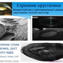 Иомдина Е.Н. Механизм аккомодации: существует ли аккомодация вдаль? лекция для офтальмологов, оптиков, оптометристов и специалистов, изучающих орган зрения в рамках образовательного проекта "Занимательная аккомодология" при поддержке компании Sentiss (2016). Информационный партнер портал Орган зрения organum-visus.ru