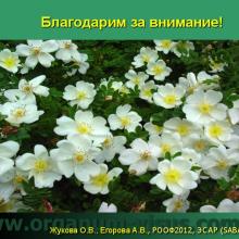 Жукова О.В., Егорова А.В. Практическое применение компьютерной аккомодографии. Самарская клиническая офтальмологическая больница им.Т.И.Ерошевского (г. Самара, Россия), Центр профилактики и лечения близорукости (г. Ижевск, Россия). Доклад на РООФ-2012, Заседание ЭСАР (SABAR): «Аккомодация: от теории к практике». Представление Национального руководства по аккомодации, 05 октября 2012г. www.organum-visus.com