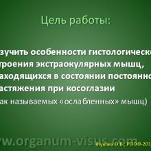 Жукова О.В. Морфология глазодвигательных мышц при косоглазии. Доклад на РООФ-2013 (AROF-2013) Информационный партнер www.organum-visus.com