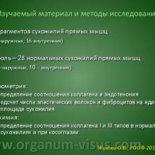 Жукова О.В. Морфология глазодвигательных мышц при косоглазии. Доклад на РООФ-2013 (AROF-2013) Информационный партнер www.organum-visus.com