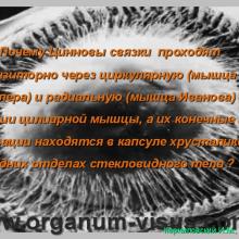 Корниловский И.М. Новая концепция механизма аккомодации. The new concept of the mechanism of accommodation. Портал Орган зрения www.organum-visus.com