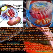 Корниловский И.М. Новая концепция механизма аккомодации. The new concept of the mechanism of accommodation. Портал Орган зрения www.organum-visus.com