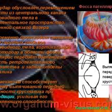 Корниловский И.М. Новая концепция механизма аккомодации. The new concept of the mechanism of accommodation. Портал Орган зрения www.organum-visus.com