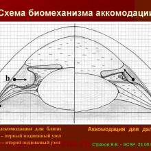 Страхов В.В. Аккомодация. ЭСАР, SABAR, 2009г, www.organum-visus.com