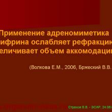 Аккомодация - Страхов В.В.